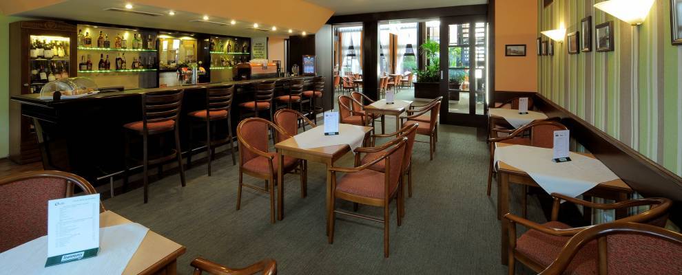 Congress & Wellness Olsanka Otel Prag